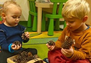 „Z Panią Jesień odkrywamy skarby jesieni”- projekt edukacyjny w grupie II