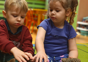 „Z Panią Jesień odkrywamy skarby jesieni”- projekt edukacyjny w grupie II