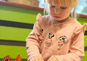 „Z Panią Jesień odkrywamy skarby jesieni”- projekt edukacyjny w grupie II