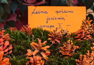 „Z Panią Jesień odkrywamy skarby jesieni”- projekt edukacyjny w grupie II
