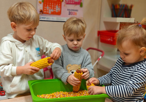 „Z Panią Jesień odkrywamy skarby jesieni”- projekt edukacyjny w grupie II