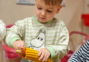„Z Panią Jesień odkrywamy skarby jesieni”- projekt edukacyjny w grupie II