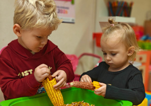 „Z Panią Jesień odkrywamy skarby jesieni”- projekt edukacyjny w grupie II