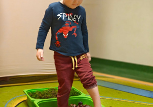 „Z Panią Jesień odkrywamy skarby jesieni”- projekt edukacyjny w grupie II