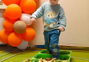 „Z Panią Jesień odkrywamy skarby jesieni”- projekt edukacyjny w grupie II