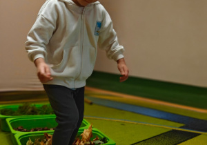 „Z Panią Jesień odkrywamy skarby jesieni”- projekt edukacyjny w grupie II