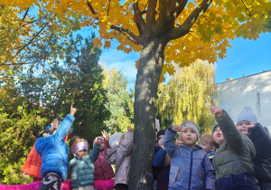 „Z Panią Jesień odkrywamy skarby jesieni”- projekt edukacyjny w grupie II