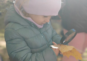 „Z Panią Jesień odkrywamy skarby jesieni”- projekt edukacyjny w grupie II
