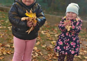 „Z Panią Jesień odkrywamy skarby jesieni”- projekt edukacyjny w grupie II