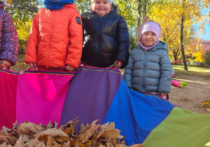 „Z Panią Jesień odkrywamy skarby jesieni”- projekt edukacyjny w grupie II