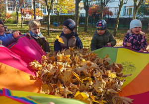 „Z Panią Jesień odkrywamy skarby jesieni”- projekt edukacyjny w grupie II
