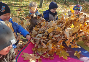 „Z Panią Jesień odkrywamy skarby jesieni”- projekt edukacyjny w grupie II