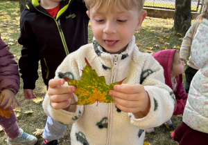 „Z Panią Jesień odkrywamy skarby jesieni”- projekt edukacyjny w grupie II