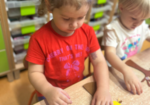 „Z Panią Jesień odkrywamy skarby jesieni”- projekt edukacyjny w grupie II