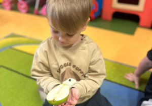 „Z Panią Jesień odkrywamy skarby jesieni”- projekt edukacyjny w grupie II