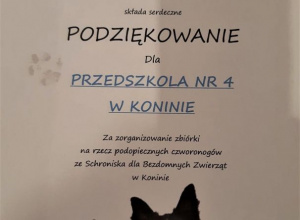 Wspieramy Schronisko dla Bezdomnych Zwierząt w Koninie