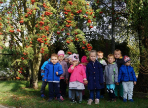 Projekt „Las, dwa, trzy- matematyczne przygody wśród przyrody” - gr. II