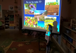 Zdjęcie 29 na 64