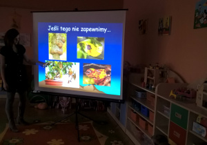 Zdjęcie 43 na 64