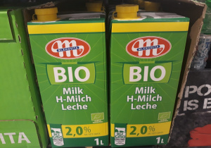 Zdjęcie 10 na 99