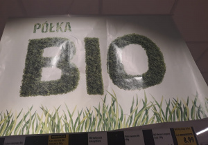 Zdjęcie 14 na 99