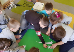Zdjęcie 35 na 99